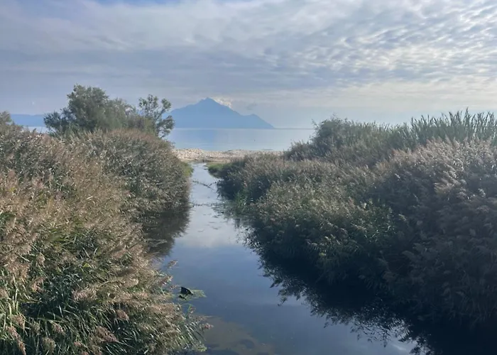 Avli & No 4 公寓 萨尔蒂