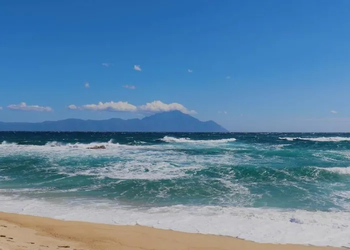 公寓 Avli & No 4 *